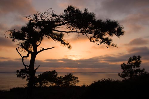Steve Gould Photography